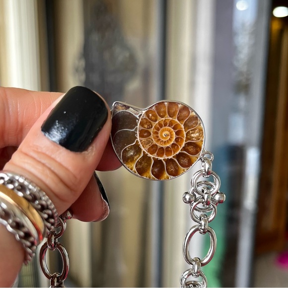 Made to order . Genuine ammonite fossil shell stainless steel maille choker - Picture 13 of 16